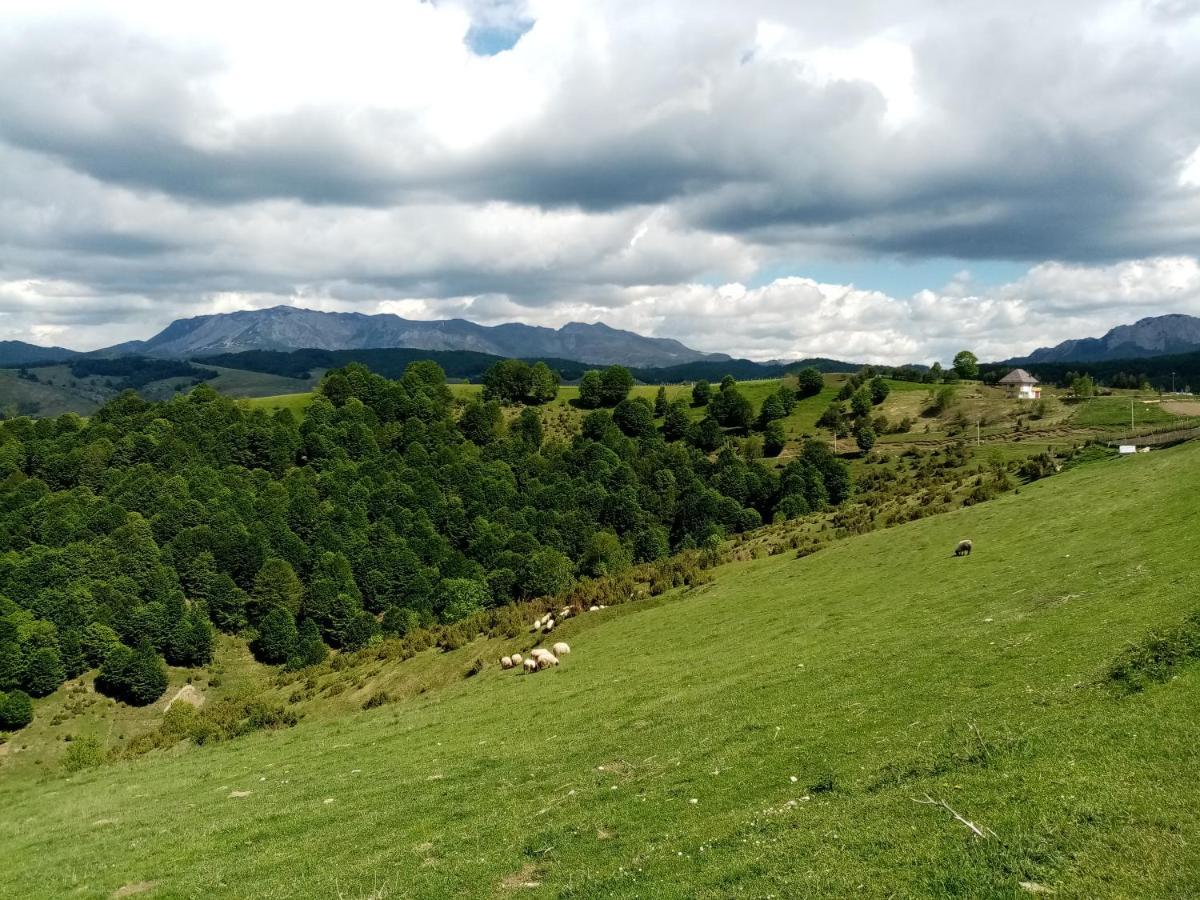 Appartamento Azra - Sarajevo, Ilidza *